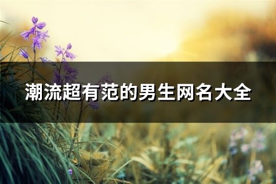 潮流超有范的男生網名大全(優選1016個)