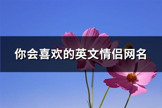你會喜歡的英文情侶網名(共53個)