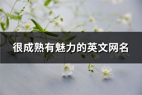 很成熟有魅力的英文網名(共77個)