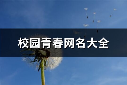 校園青春網名大全(298個)