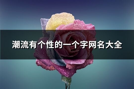 潮流有個(gè)性的一個(gè)字網(wǎng)名大全(精選411個(gè))