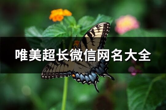 唯美超長微信網名大全(優選340個)