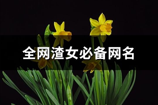 全網渣女必備網名(優選121個)