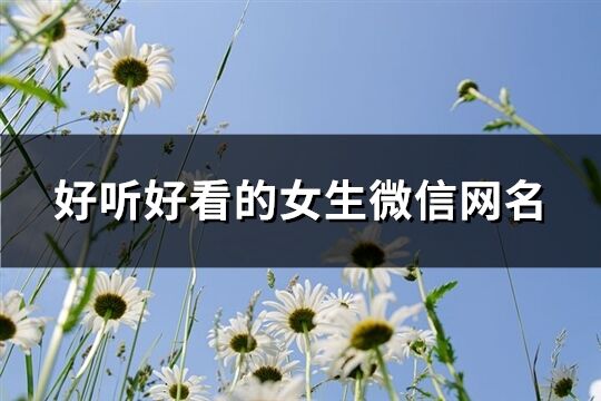 好聽好看的女生微信網名(精選382個)