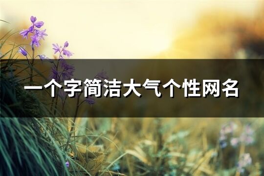 一個字簡潔大氣個性網名(368個)