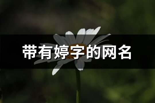 帶有婷字的網名(73個)