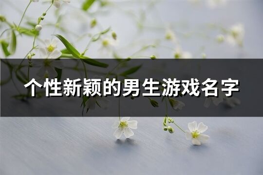 個性新穎的男生游戲名字(443個)