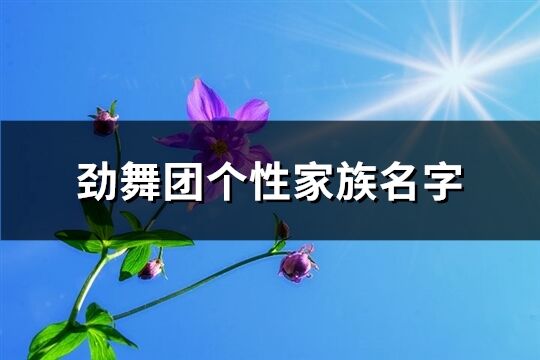 勁舞團個性家族名字(優選88個)