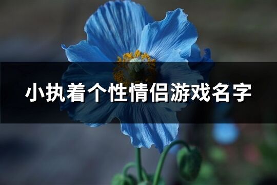 小執著個性情侶游戲名字(優選116個)