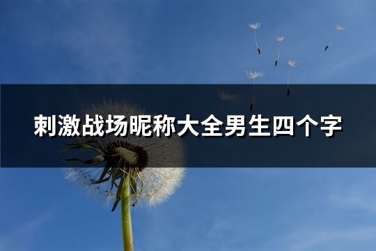 刺激戰場昵稱大全男生四個字(155個)
