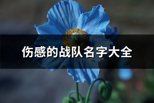 傷感的戰隊名字大全(精選62個) 傷感的戰隊名字大全(精選62個)