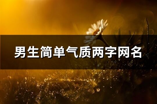 男生簡單氣質兩字網名(優選720個)