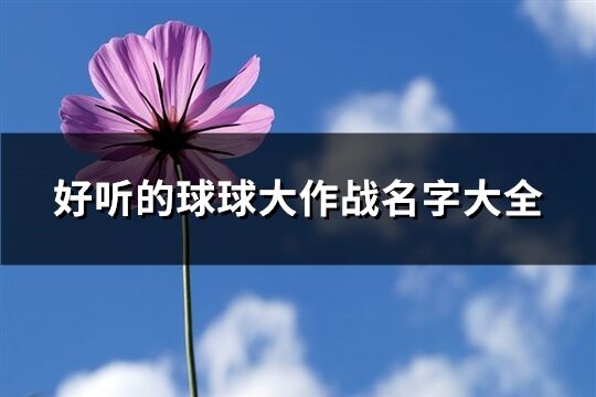 好聽的球球大作戰(zhàn)名字大全(261個)