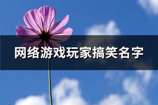 網(wǎng)絡(luò)游戲玩家搞笑名字(149個)