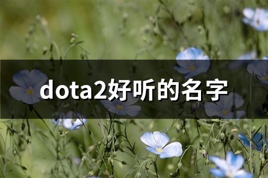 dota2好聽的名字(212個)