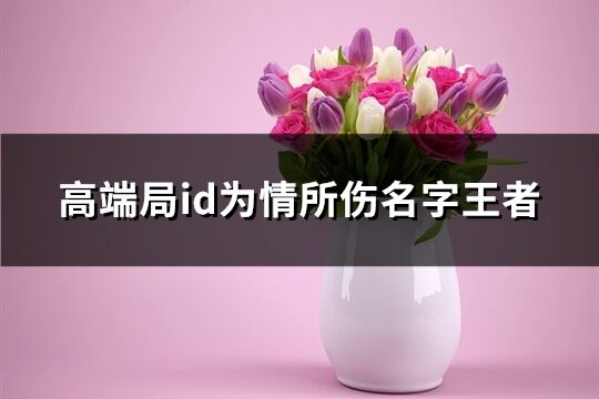 高端局id為情所傷名字王者(175個)