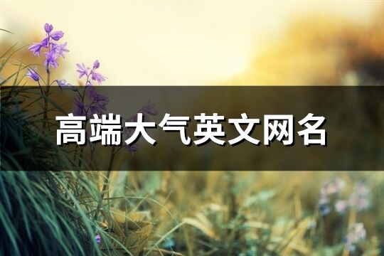 高端大氣英文網名(精選65個)