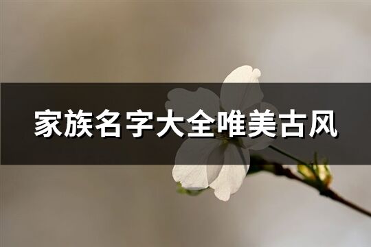 家族名字大全唯美古風(共132個)