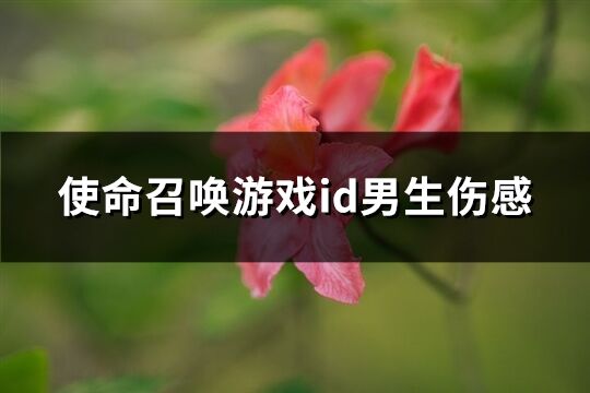 使命召喚游戲id男生傷感(190個(gè))