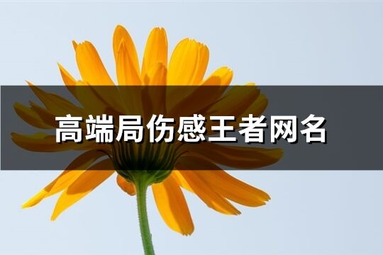 高端局傷感王者網名(246個)