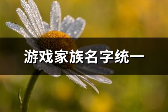 游戲家族名字統(tǒng)一(優(yōu)選223個)