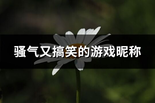 騷氣又搞笑的游戲昵稱(181個)