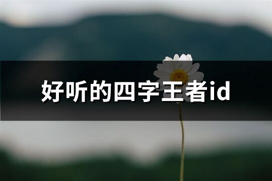 好聽(tīng)的四字王者id(882個(gè))