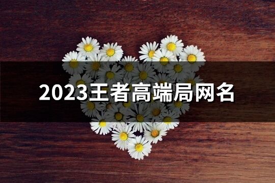 2023王者高端局網名(優選399個)