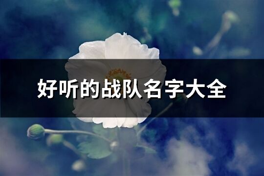好聽的戰隊名字大全(精選345個)