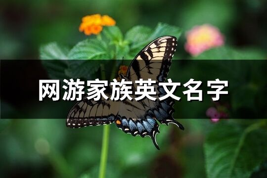 網游家族英文名字(優選69個)