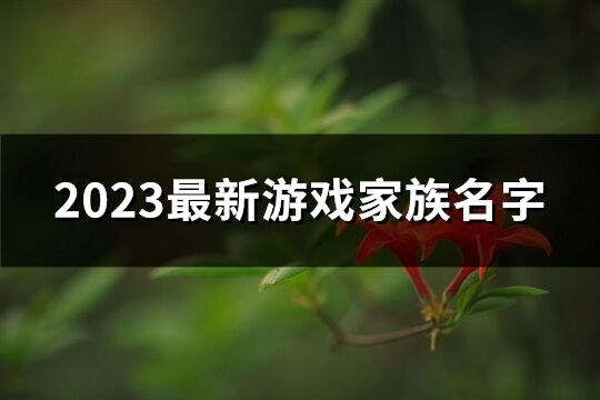 2023最新游戲家族名字(優選234個)