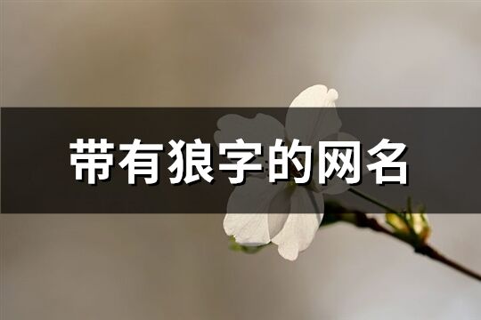 帶有狼字的網名(精選92個)