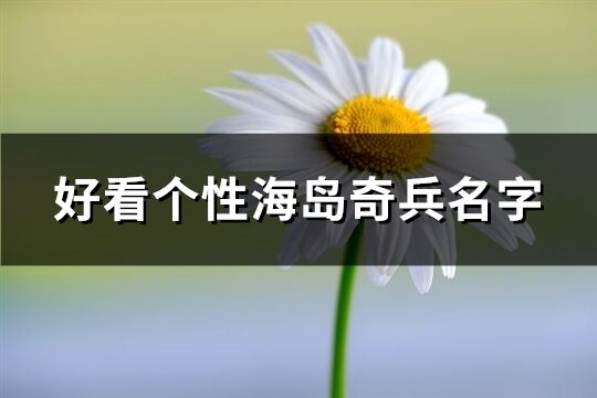 好看個性海島奇兵名字(精選138個)