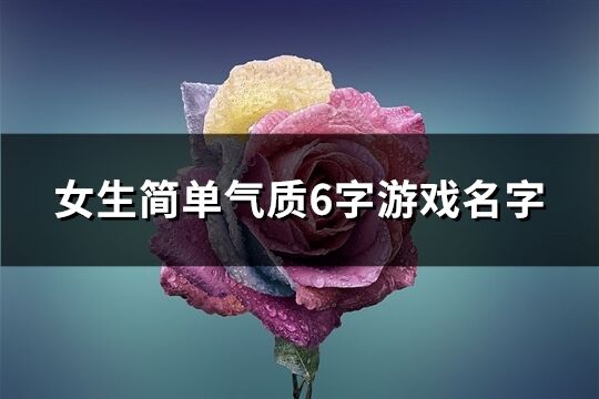 女生簡單氣質6字游戲名字(258個)