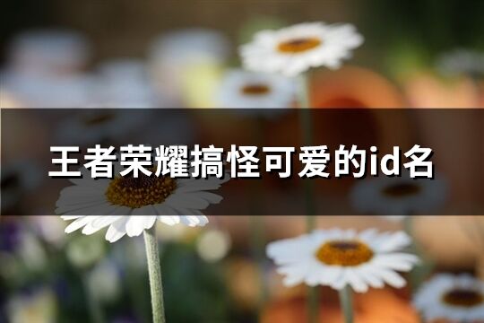 王者榮耀搞怪可愛的id名(優選82個)