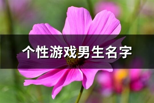 個性游戲男生名字(共256個)