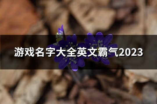 游戲名字大全英文霸氣2023(66個)
