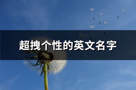 超拽個性的英文名字(精選115個)