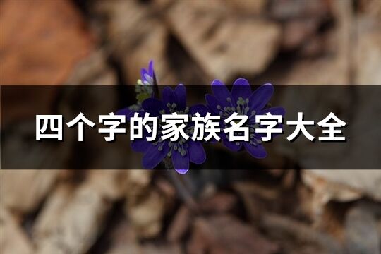 四個字的家族名字大全(優選434個)