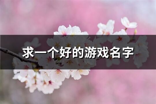 求一個好的游戲名字(617個)