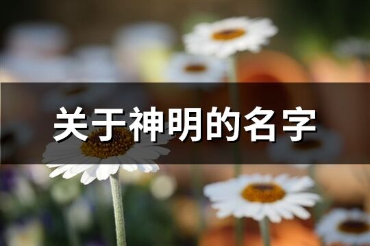 關于神明的名字(精選94個)