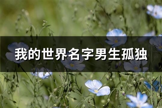 我的世界名字男生孤獨(dú)(共195個(gè))
