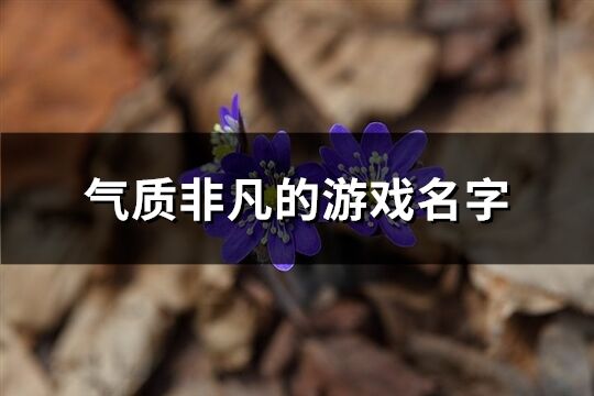 氣質(zhì)非凡的游戲名字(共195個)