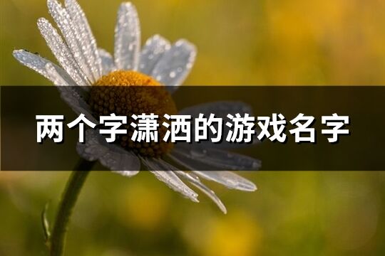 兩個字瀟灑的游戲名字(精選112個)