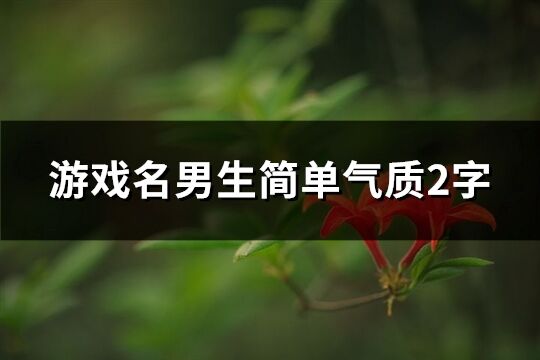 游戲名男生簡(jiǎn)單氣質(zhì)2字(優(yōu)選581個(gè))