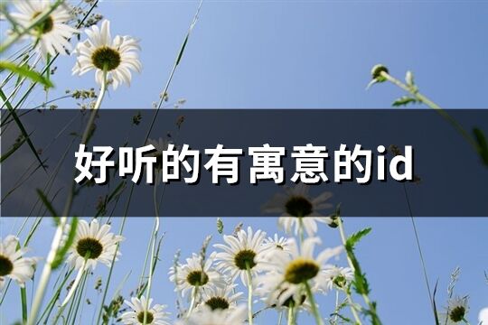 好聽的有寓意的id(優(yōu)選148個(gè))