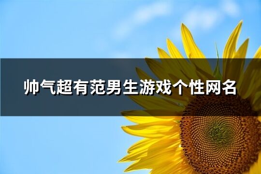 帥氣超有范男生游戲個性網名(232個)