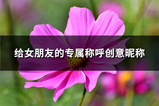 給女朋友的專屬稱呼創(chuàng)意昵稱(166個)