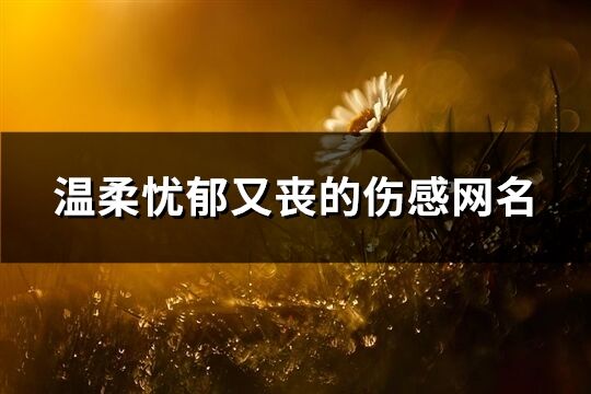 溫柔憂郁又喪的傷感網(wǎng)名(共316個(gè))