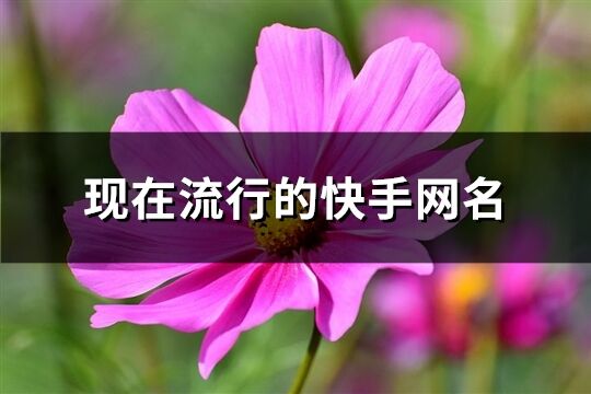 現(xiàn)在流行的快手網(wǎng)名(共1019個)